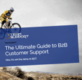 eBook-B2B-guide-customer-support.png