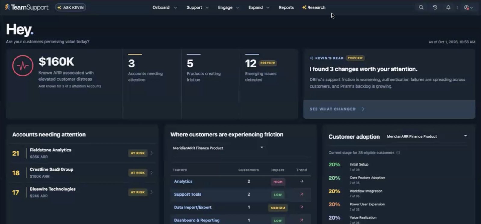TeamSupport Home Dashboard showing ARR at risk, accounts needing attention, product friction, and customer adoption by Activation Ladder stage
