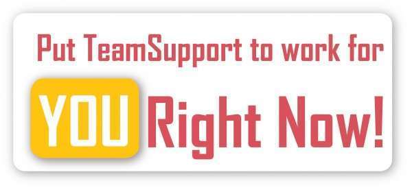 TeamSupport customer support software free trial