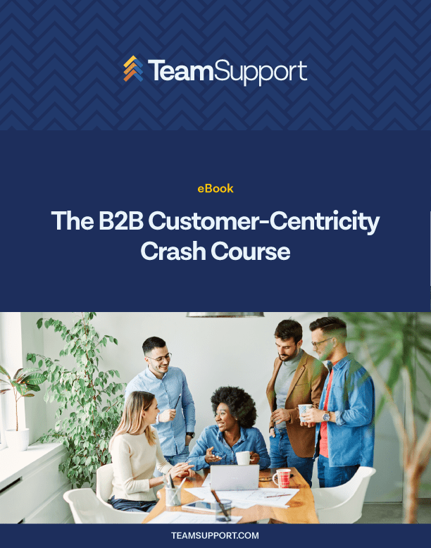 Customer-Centricity Crash Course eBook