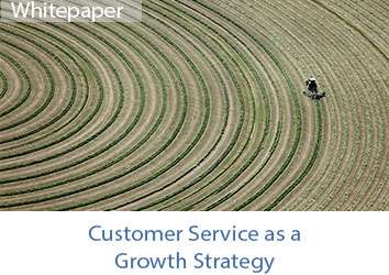 customer-service-growth