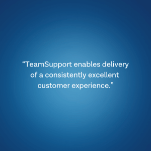 TeamSupport Customer Stories