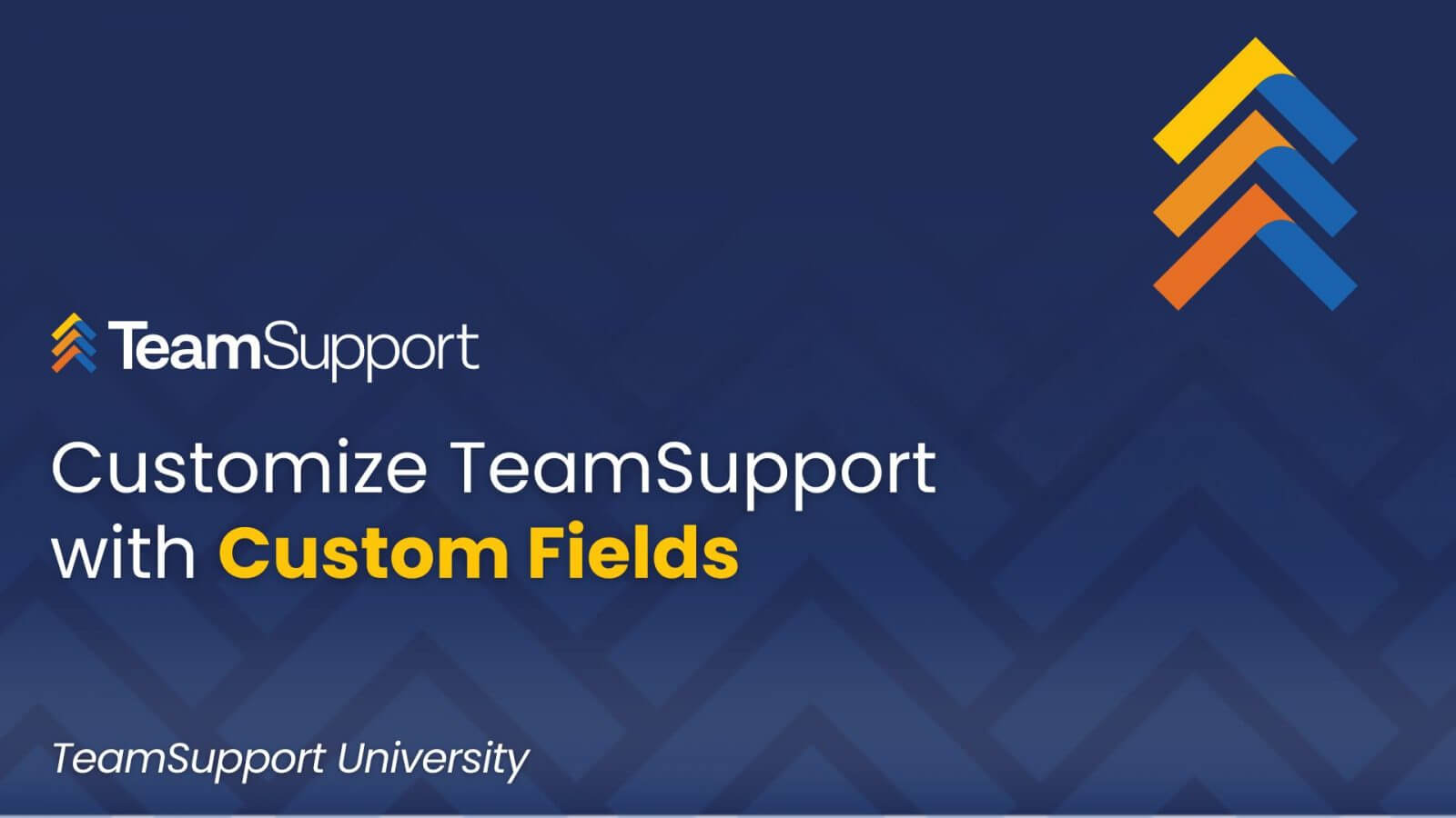 TeamSupport - TSU_Custom_Fields
