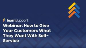 TeamSupport - How to give your customers